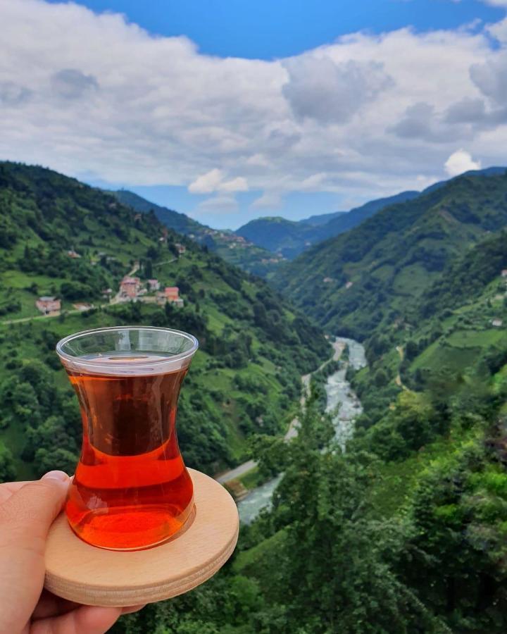 Puleri Suit Bungalow Çamlıhemşin Extérieur photo